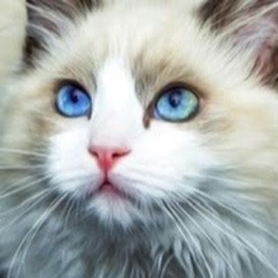 qFULwk7yiB73456's profile picture. 