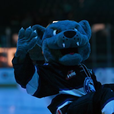 I'm the dedicated and fun-loving mascot of the Wenatchee Wild of the WHL! Aah-OOOOHH!!