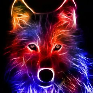 SachaAgliam's profile picture. 