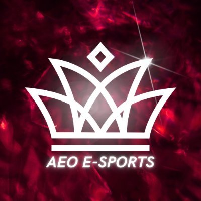 Oficjalne konto AEO E-Sports 
Kontakt: DM @meg_ochmi
Grafika: @mcetera5
