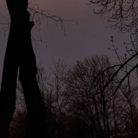 Bonbons engourdis (@bamlaali) 's Twitter Profile