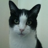 🇬🇧 𝑻𝒉𝒆 𝑭𝒖𝒓𝒓𝒚 𝑩𝒂𝒔𝒕𝒂𝒓𝒅 🇬🇧 (@_furry_bastard_) 's Twitter Profile Photo