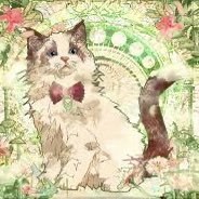 concon2466's profile picture. Big4のコンサルらしい。社畜コンサルの日常。猫とグルメ好き 日々の呟きはハイライトへ