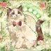 コンサル猫M (@concon2466) Twitter profile photo コンサル猫M (@concon2466) Twitter profile photo