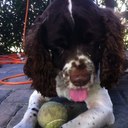 Jill Sprague - @unicornsrule55 - Twitter