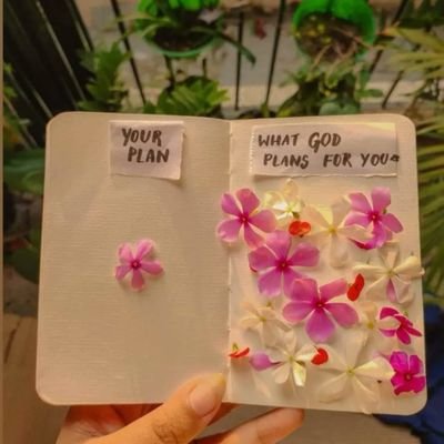 DialaChibueze1's profile picture. Blogger, newspaper 📰 information minister and War Updates around the World 🌎 30BG forever 🇧🇪
I'll follow back immediately I got your notifications.