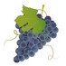 Temecula Talks (@temeculatalks) Twitter profile photo Temecula Talks (@temeculatalks) Twitter profile photo