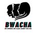 BPO Workers and Allies against Charter Change (@bwacha2024) Twitter profile photo