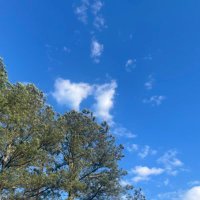 Foglight Guide Me (@foglightguideme) 's Twitter Profile