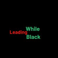 Leading While Black(@LeadWhileBLK) 's Twitter Profile Photo