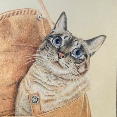 動物画家。旅で出会った猫たちと色鉛筆画。　Instagram: https://t.co/LA0Bh2ueex