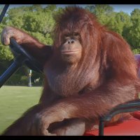 Vale (@valec0d) 's Twitter Profile