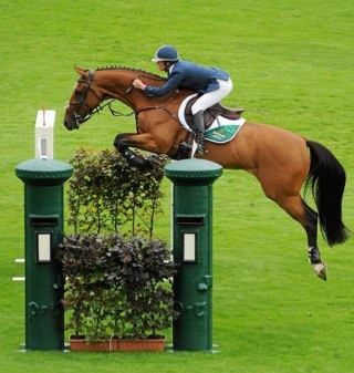 Show Jumper. Producer. Trainer. National Champion 2010. Aga Khan team member 2011. Working my way back up! #puissance