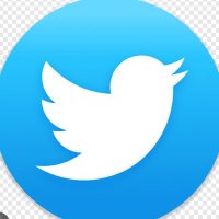 Fernando (@fernand59496651) 's Twitter Profile