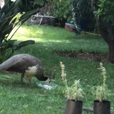 mbimalick's profile picture. Hasbounallah wa ni’mal wakil