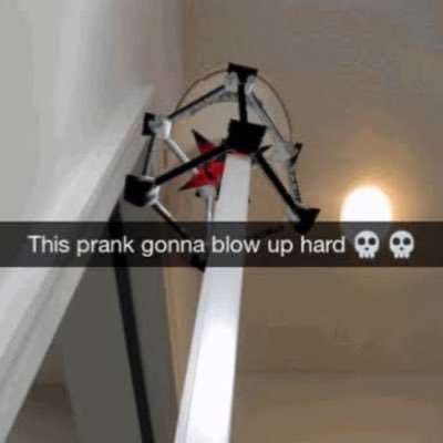 WardBrando78245's profile picture. 19