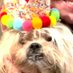 Buffy Bagel (@buffybagel) Twitter profile photo