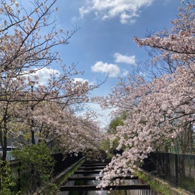 人生色々経験しました。人になかなか話す内容ではないが、たまに呟きます。本が書けるくらいいろいろあったよ。今は、長男通信制高校（元不登校）次男中学生不登校中 ✳︎子猫保護して飼ってます（2匹）地域猫にもご飯あげてます ✳︎世の中の茶番を知りました ✳︎❤️共感、応援、勉強など、よろしくお願いします