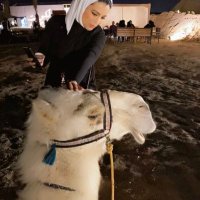 HAYA . (@hralajmi_law) Twitter profile photo