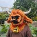 Artichoke (@ArtichokeBull) Twitter profile photo