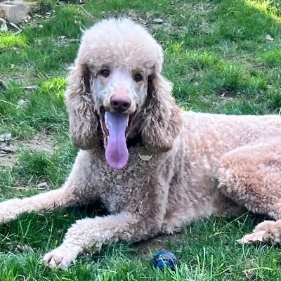 kaceycyp's profile picture. 