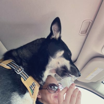 Karmaismydogg's profile picture. 