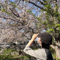 まい@生き方と働き方の選択肢を広げる (@maimai_4190) 's Twitter Profile