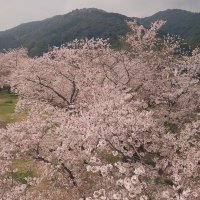 cho-san0508 (@csan0508) 's Twitter Profile