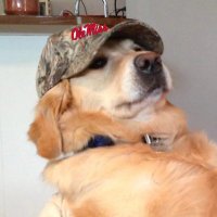 Calvin Candie (@dickandnuts2) 's Twitter Profile