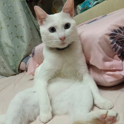 KMM(エグい)さんのプロフィール画像