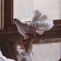 nouf.ALOtaibi (@asaadwahdaa) Twitter profile photo