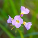 Adrian Ola Gilbert - @OlaGilbert87779 - Twitter