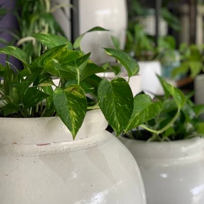 yuco40820's profile picture. 