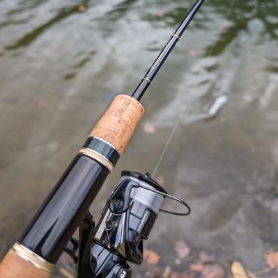 jibejibefishing Profile Picture