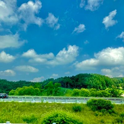 Sdcard297035's profile picture. 