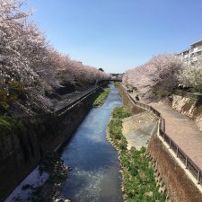 HumanGuide73738's profile picture. We navigate to tourist attractions on Youtube. I am mainly active in Tokyo, Japan.