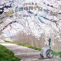 花と自然と表現する私🌸💃♿(@ohanadaisuki28) 's Twitter Profile Photo