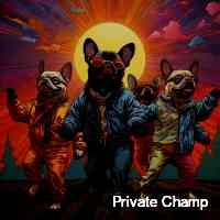caamphpr_ivate's profile picture. bayc  | nft’s & crypto investor | web 3.0 | eth sol 👑 stΞphen l'm glad to be here. nfts nftcommunity metaverse bayc