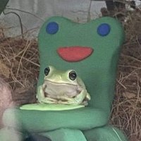ribbit (@froggvert) 's Twitter Profile Photo ribbit (@froggvert) 's Twitter Profile Photo