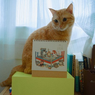 yamomi | iOS/Android application engineer
fav: stationary, hand-writing, coffee, interior, cat