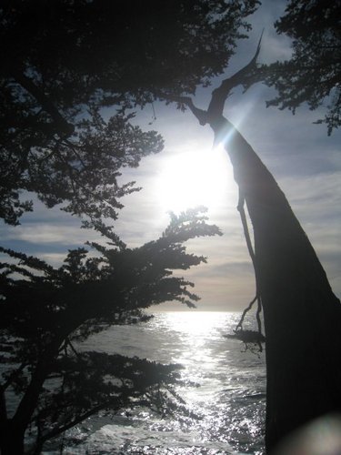 SparkAnalytics's profile picture. Retail Analytics, Excel Guru, Powerpoint Maven, Social Media Marketing, Business Networking