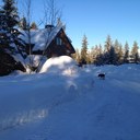 Deborah Bianchini - @bretano - Twitter