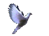 oxhy (@oxhy___) Twitter profile photo oxhy (@oxhy___) Twitter profile photo