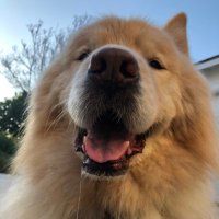 Sam Kienzle (@iowasam99) 's Twitter Profile