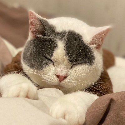 tears6400_SF6's profile picture. 社会人。ゲーム垢。モンハン/タルコフ/スト6/ゼンゼロ/スタレ