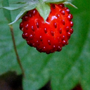 Kate Warren - @Kaaato - Twitter