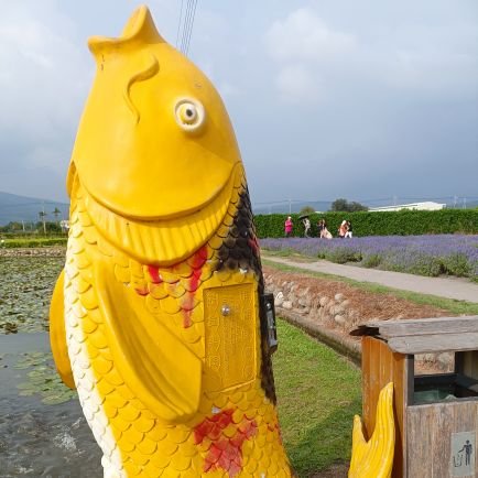 KirominaSai888's profile picture. 