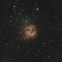 スカラン (@skylancerevo) 's Twitter Profile Photo