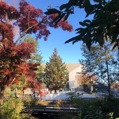 abemisa101000's profile picture. ここでの意見は、あくまで応援団の意見であって、他者から了解等は一切もらっていません。それを前提にお読みください。ご挨拶もせず、勝手にフォローしてますが、ご容赦願います。