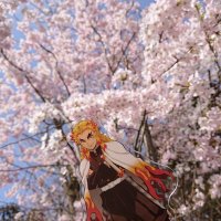 あんじゅ (@anjrngk) 's Twitter Profile Photo あんじゅ (@anjrngk) 's Twitter Profile Photo